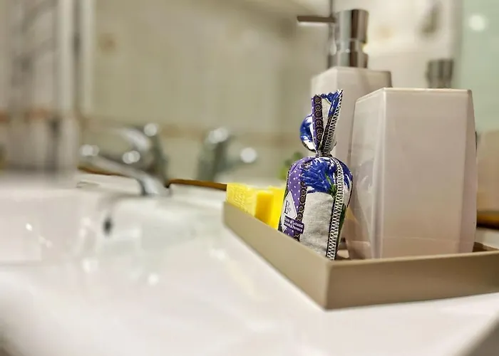 Apartment 3 Pieces Dans Le Centre De