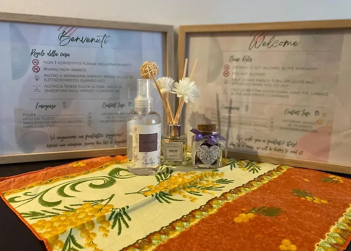 3 Pieces Dans Le Centre De 아파트 멍똥